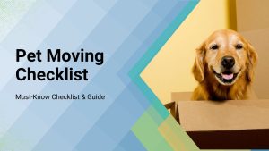 Read more about the article Moving with Pets Checklist: Guide To Moving House with Pets