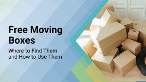 Read more about the article Where to Get Free Moving Boxes: Top Sources & Tips